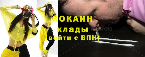 индика Аркадак