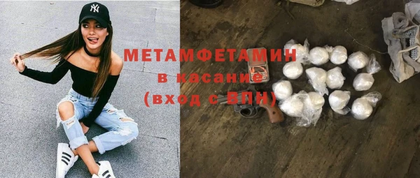 индика Аркадак